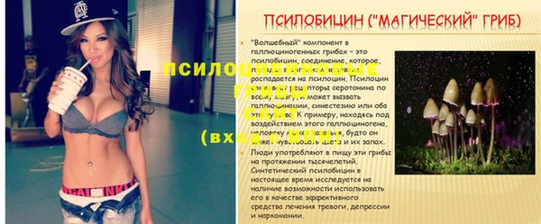 мдпв Дмитриев