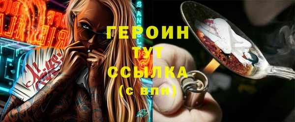 мдпв Дмитриев
