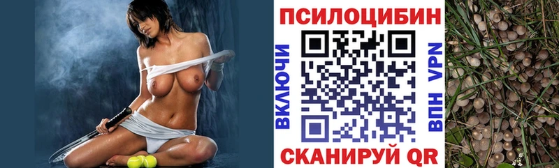 Псилоцибиновые грибы мухоморы  Купить где  Осташков 